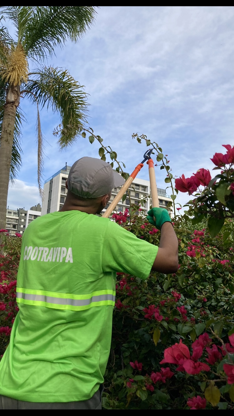 Jardinagem e paisagismo